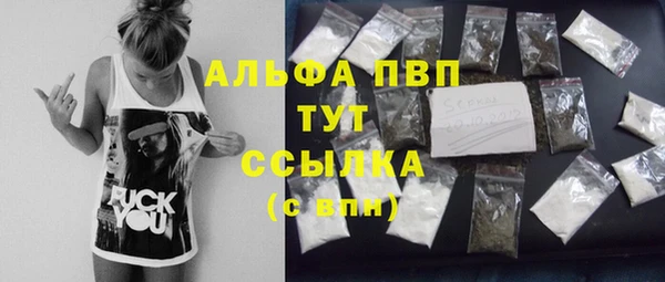 прущий лед Бородино
