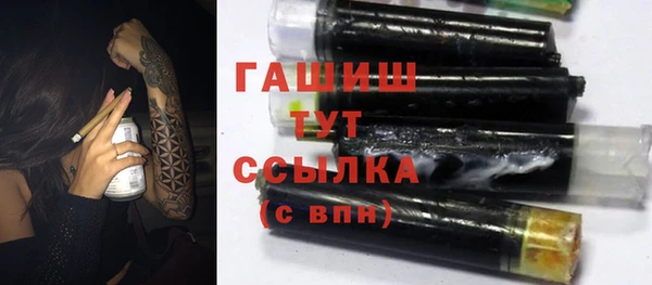 прущий лед Бородино