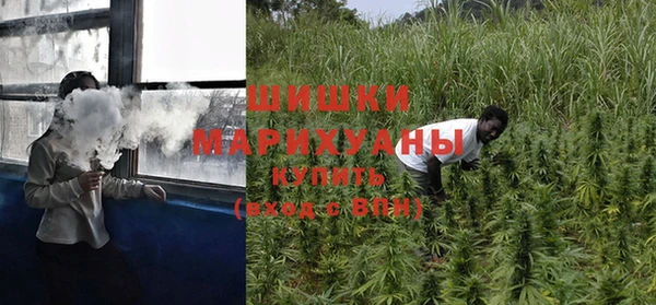 амф Бронницы