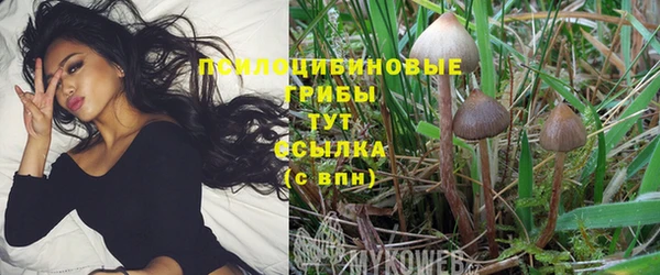 амф Бронницы