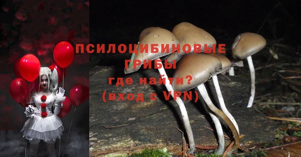 амф Бронницы