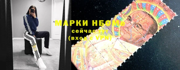 прущий лед Бородино
