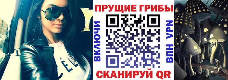 купить наркоту  Псков  Галлюциногенные грибы Cubensis 